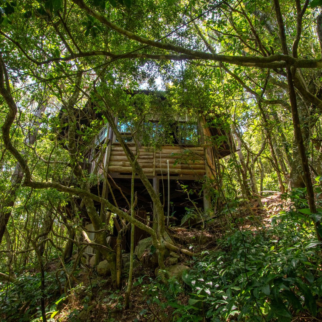 Rosemary Dream property photo 16